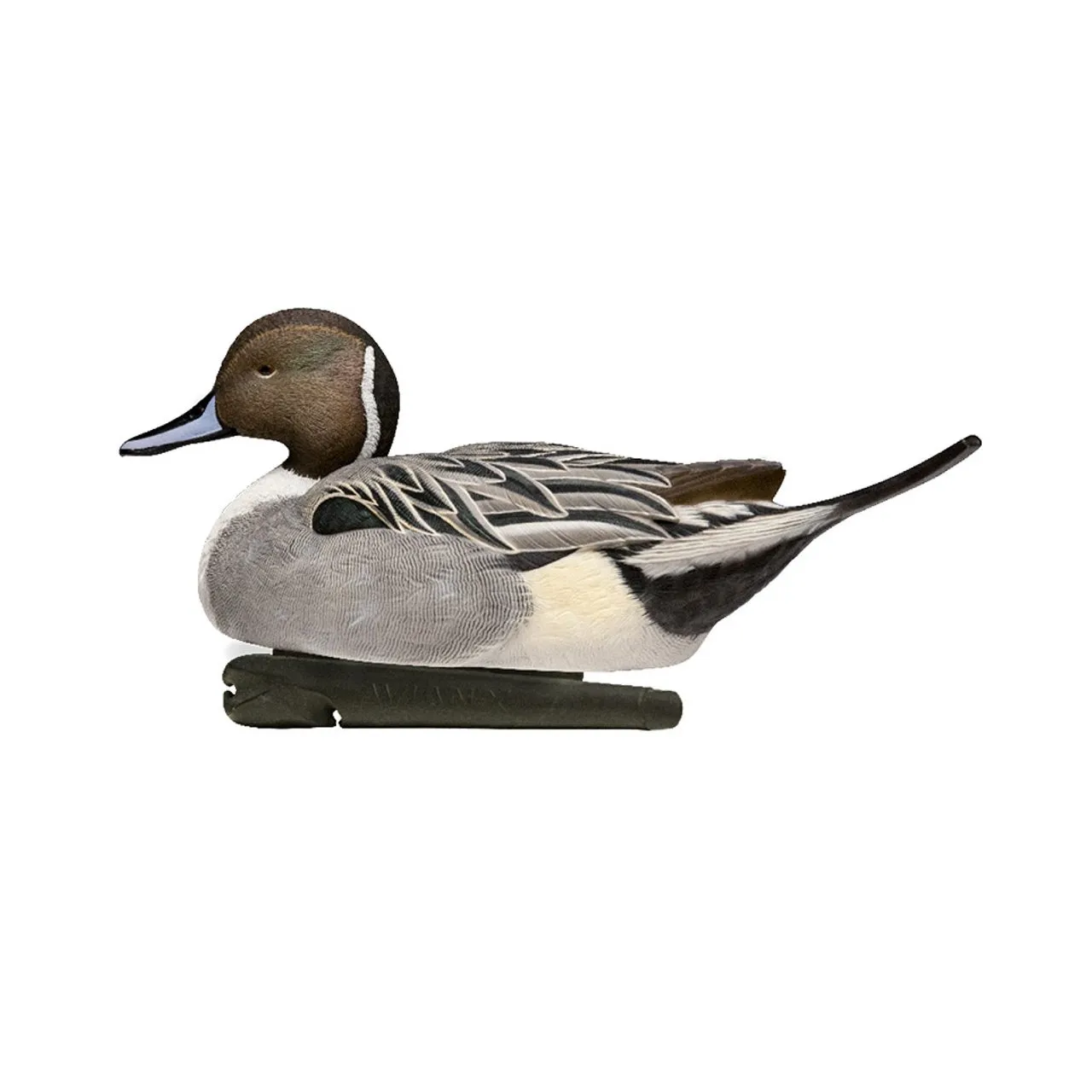 Avian X Topflight Pintail Duck Decoy 6 Pack