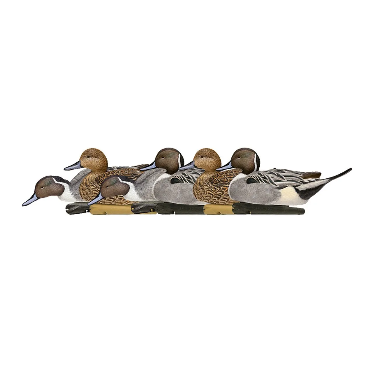 Avian X Topflight Pintail Duck Decoy 6 Pack