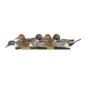 Avian X Topflight Pintail Duck Decoy 6 Pack