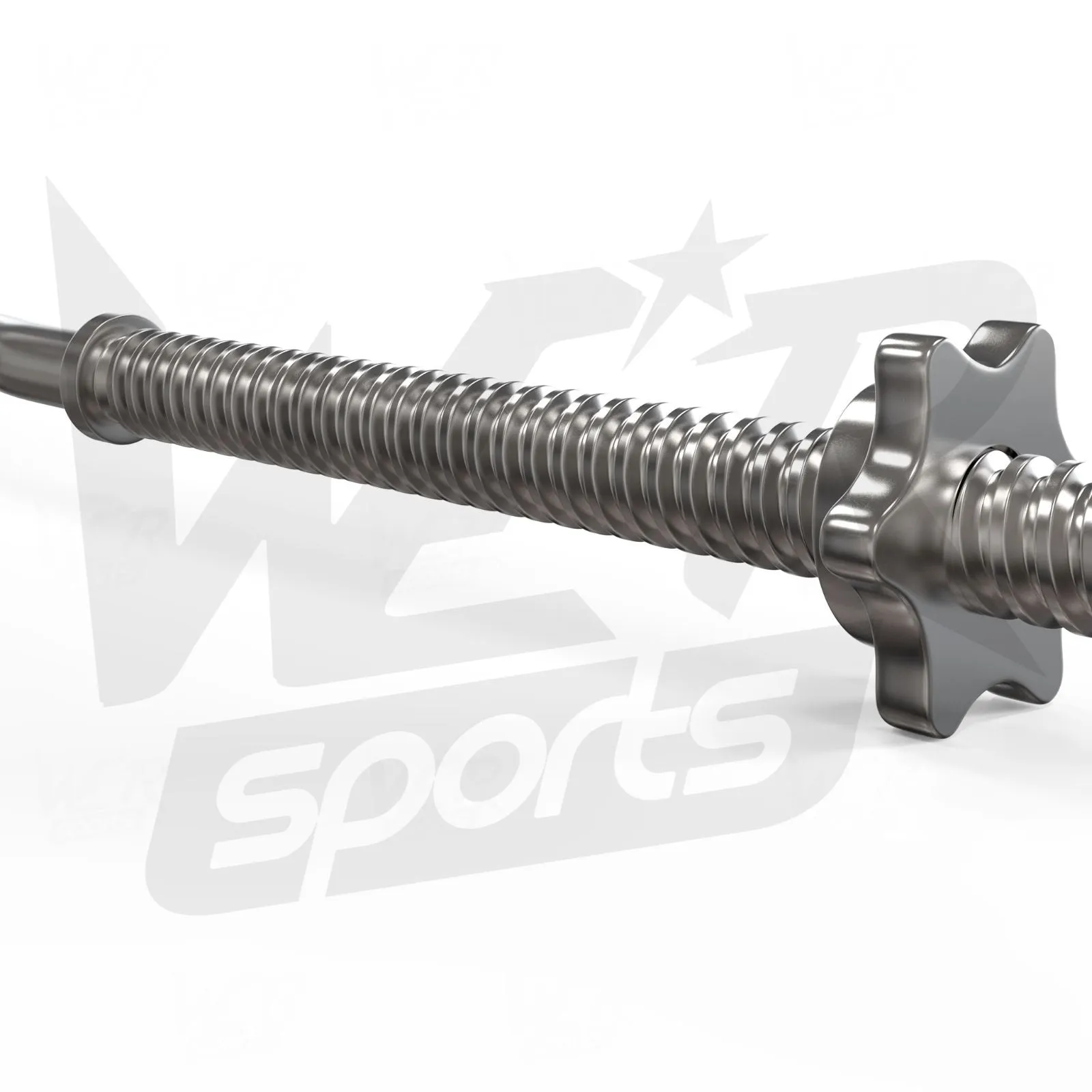 FlexBar 1" Curl Bar with SpinLock Collars