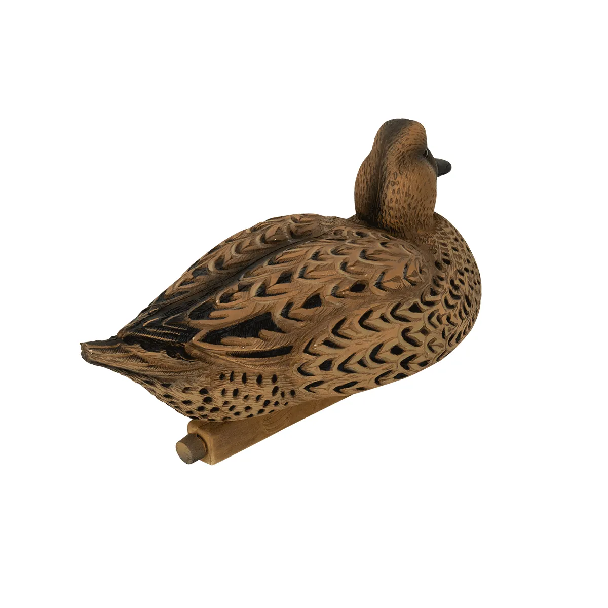 Flight Flocked Pintail