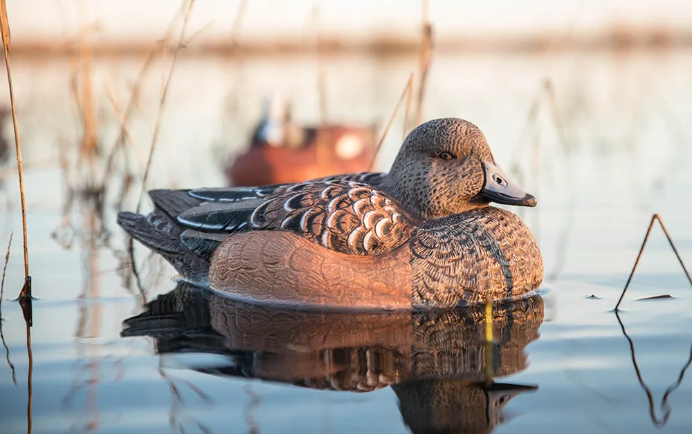 Flight Series Wigeon Decoy