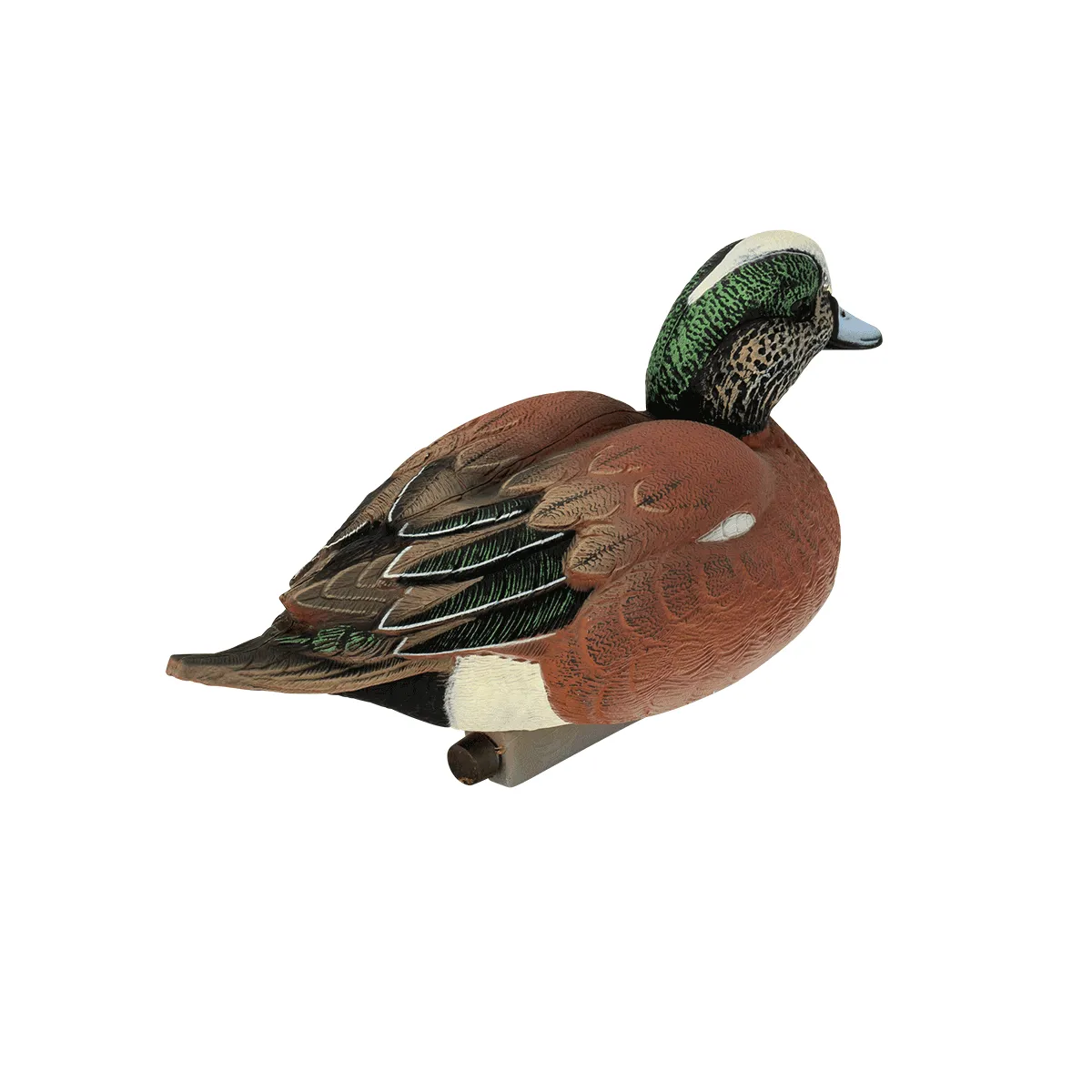 Flight Series Wigeon Decoy
