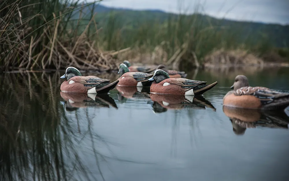 Flight Series Wigeon Decoy