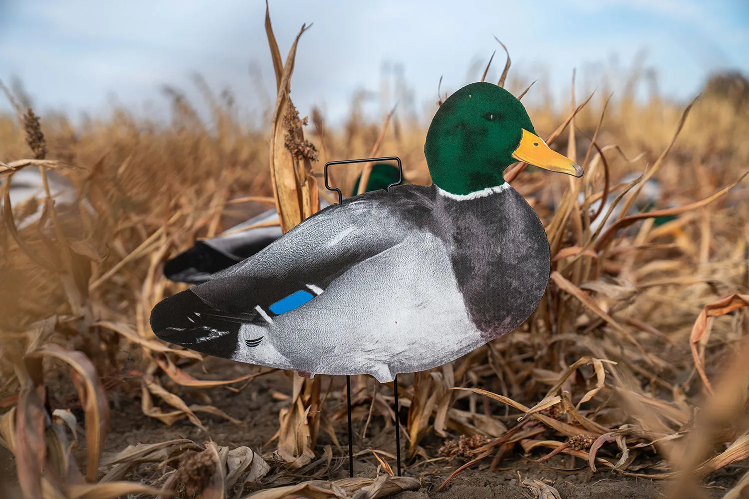 Fully Flocked Mallard Skinny Decoys (12 Pack)